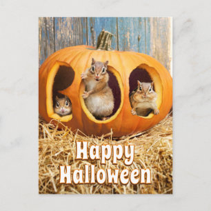 Chipmunks Inside Boo Jack-o-Lantern Invitation Postcard