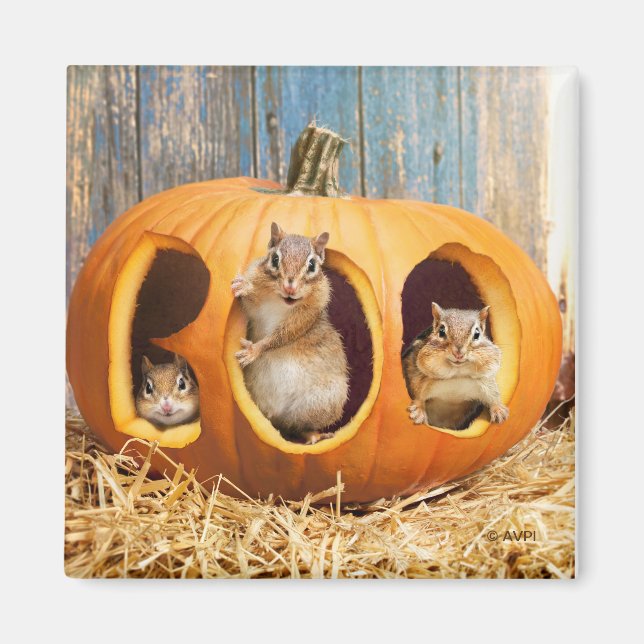 Chipmunks Inside Boo Jack-o-Lantern Magnet (Front)