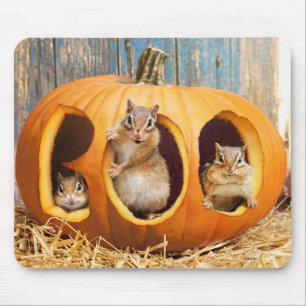 Chipmunks Inside Boo Jack-o-Lantern Mouse Mat