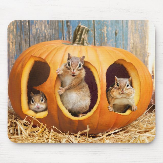 Chipmunks Inside Boo Jack-o-Lantern Mouse Mat (Front)