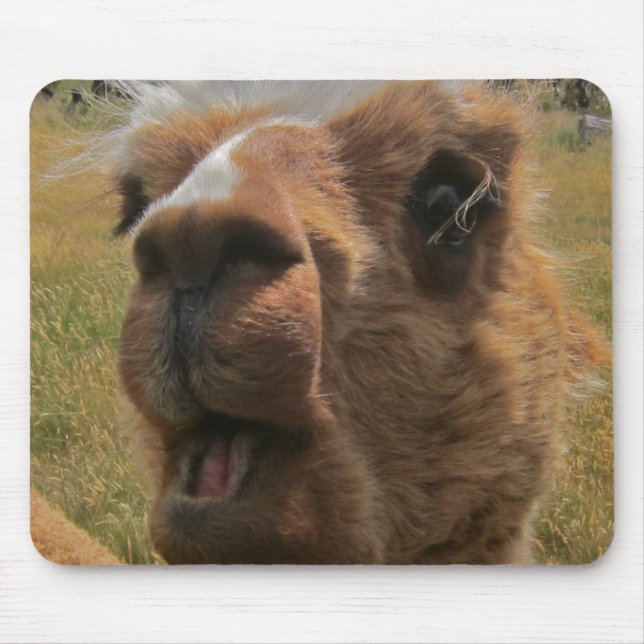 Chipper Alpaca Mouse Mat (Front)