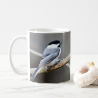 Chipper Chickadee