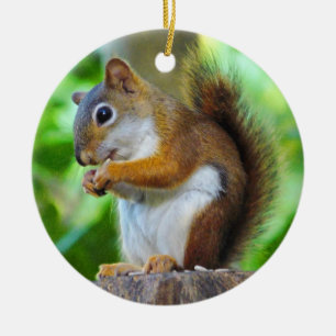 Chipper Red Squirrel Ceramic Tree Decoration