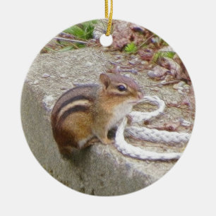 Chippie The Chipmunk Investigates A Rope Ceramic Tree Decoration