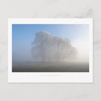 Chipping Campden Postcard