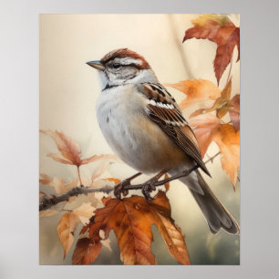 Chipping Sparrow Bird Art Print Poster