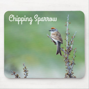 Chipping Sparrow Mouse Mat