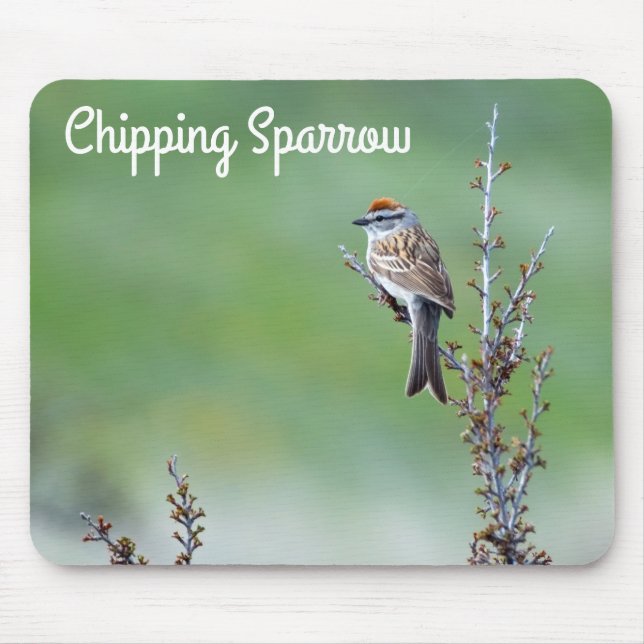 Chipping Sparrow Mouse Mat (Front)