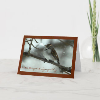 Chipping Sparrow Sympathy Card