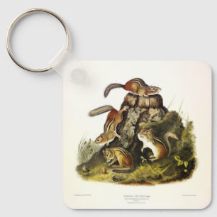 Chipping Squirrel ( Eastern Chipmunk ) by Audubon Key Ring