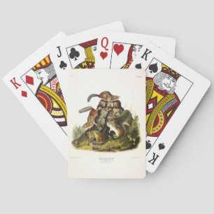 Chipping Squirrel ( Eastern Chipmunk ) by Audubon Playing Cards