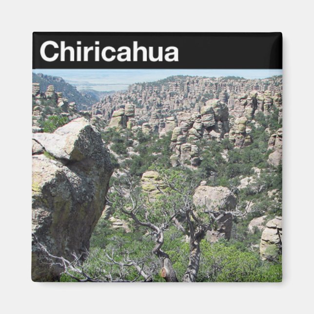 Chiricahua National Monument Magnet (Front)