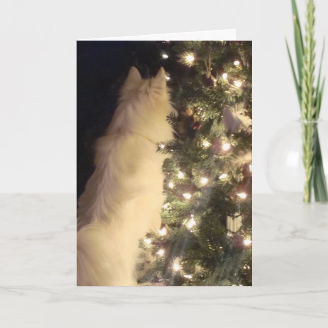 Chiristmas Card (Front)