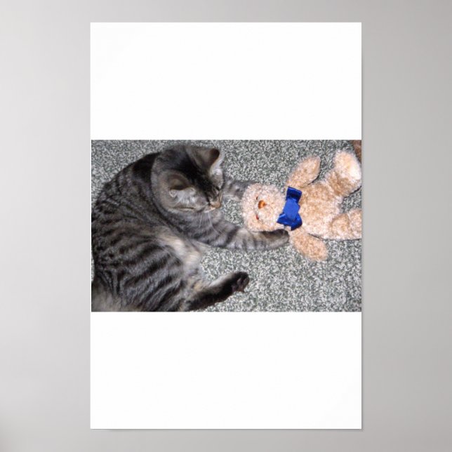 "Chiro-Cat" Poster (Front)