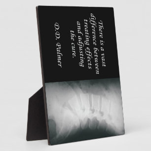 Chiropractic Adjusting the Cure Easel Plaque