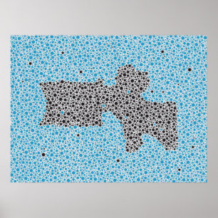 Chiropractic Anatomy Artwork Lumbar Vertebrae Poster