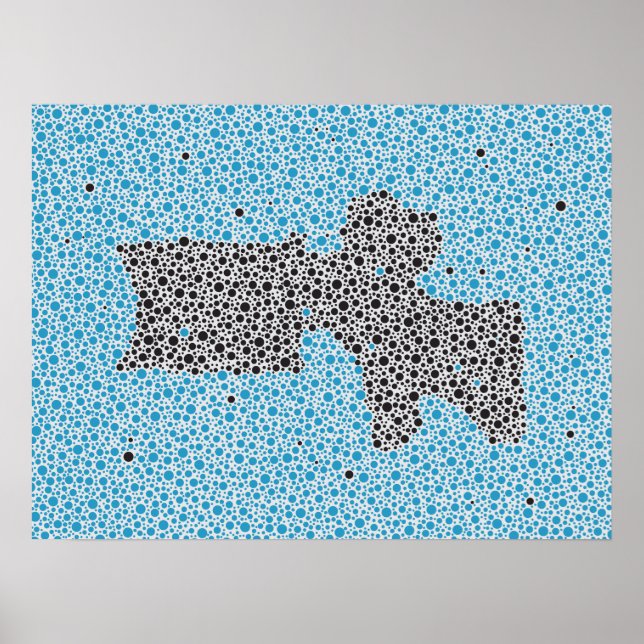 Chiropractic Anatomy Artwork Lumbar Vertebrae Poster (Front)