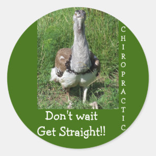 CHIROPRACTIC CLASSIC ROUND STICKER
