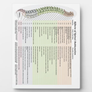 Chiropractic Effects of Spinal Subluxation Easel Plaque