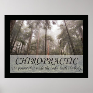 Chiropractic Heals the Body Quotes Sayings Poster
