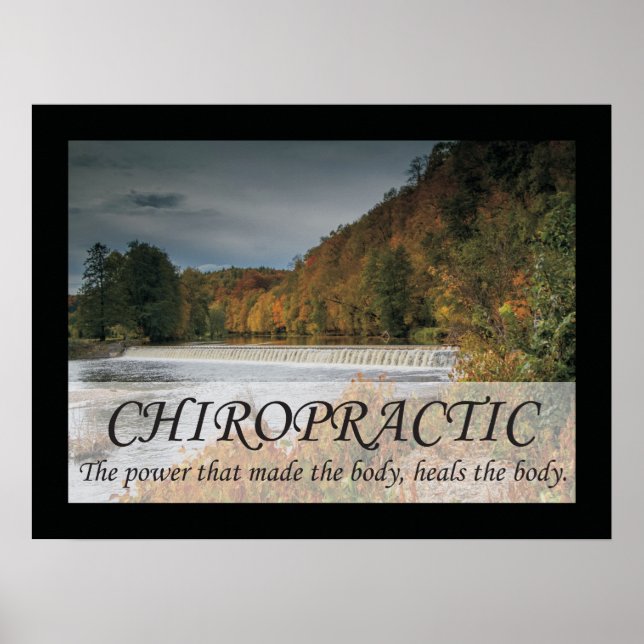 Chiropractic Heals the Body Quotes Sayings Poster (Front)