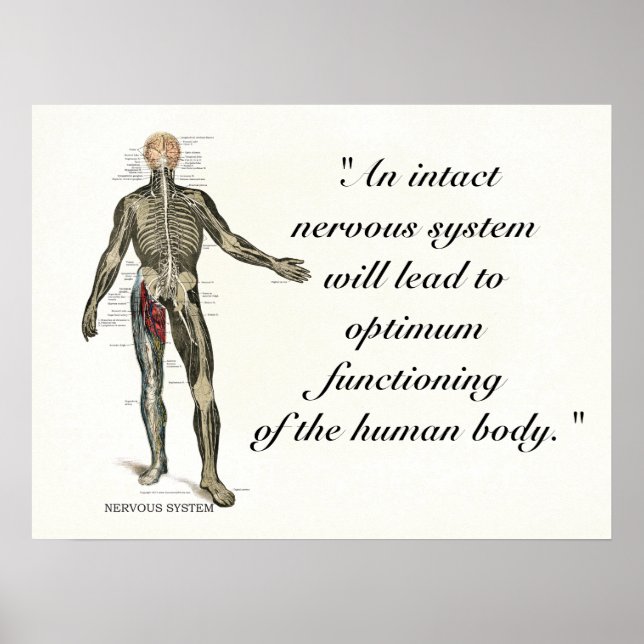 Chiropractic Health Quotes & Sayings Poster (Front)