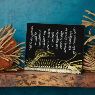 Chiropractic Nervous System Quote Easel Plaque