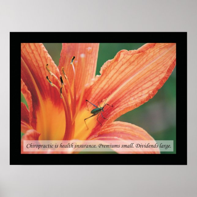 Chiropractic Quotes and Sayings Health Poster (Front)