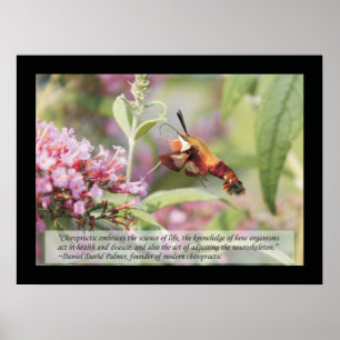 Chiropractic Quotes and Sayings Health Poster