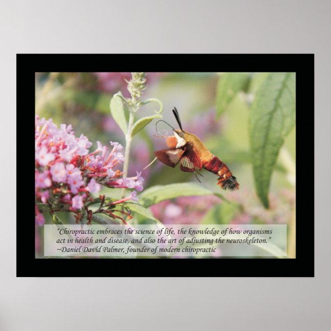 Chiropractic Quotes and Sayings Health Poster (Front)