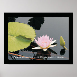 Chiropractic Quotes and Sayings Health Poster