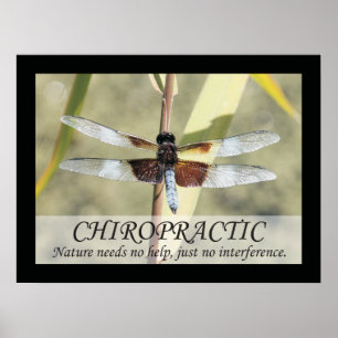 Chiropractic Quotes and Sayings Nature Poster