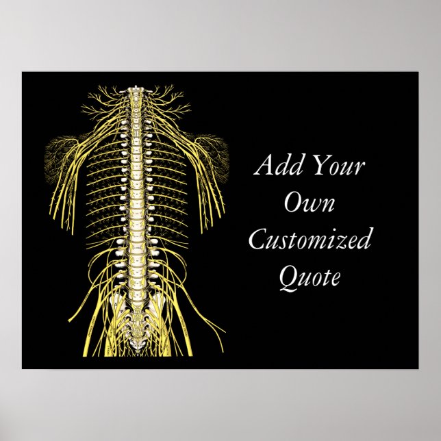 Chiropractic Quotes & Sayings Customised Poster (Front)