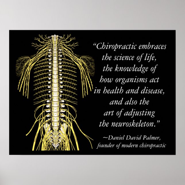 Chiropractic Quotes & Sayings DD Palmer Poster (Front)