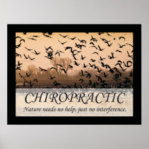 Chiropractic Quotes & Sayings Nature Poster