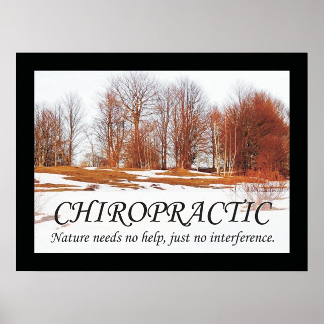 Chiropractic Quotes & Sayings Nature Poster (Front)