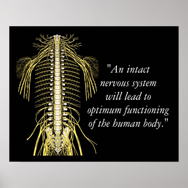 Chiropractic Quotes & Sayings Nerves Poster (Front)