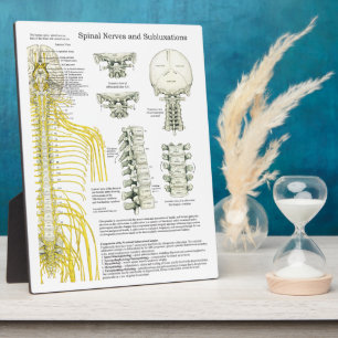 Chiropractic Spinal Nerves Subluxations Easel Plaque