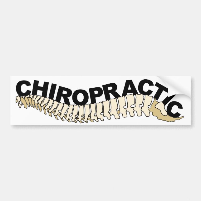 Chiropractic Spine Bumper Sticker (Front)