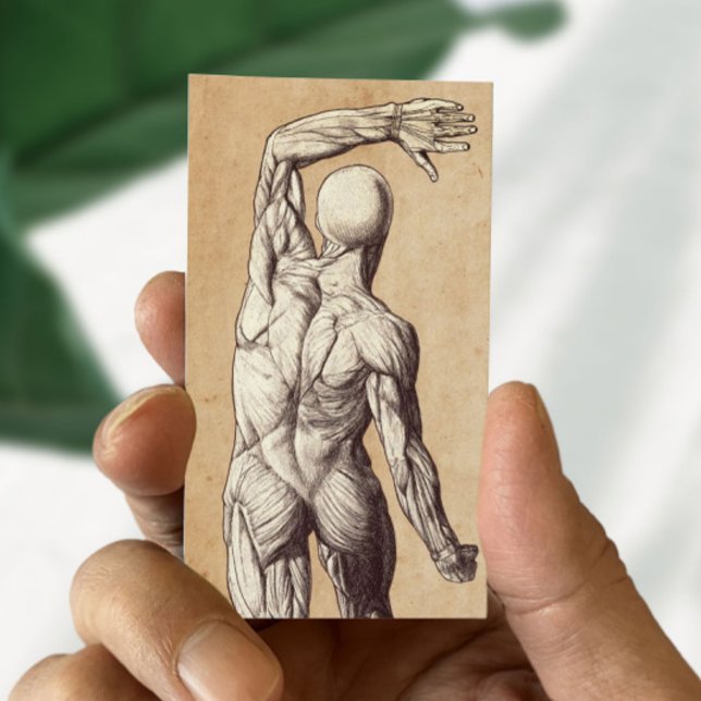 Chiropractic Vintage Human Anatomy Chiropractor Business Card (Creator Uploaded)