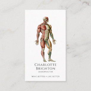 Chiropractor Business Card