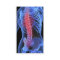 Chiropractor Business Card3