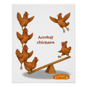 Chirpy Chickens acrobat squad Poster