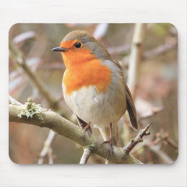 Chirpy Robin Mouse Mat (Front)