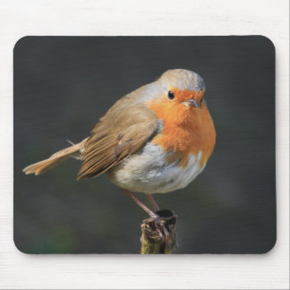 Chirpy Robin Mouse Mat