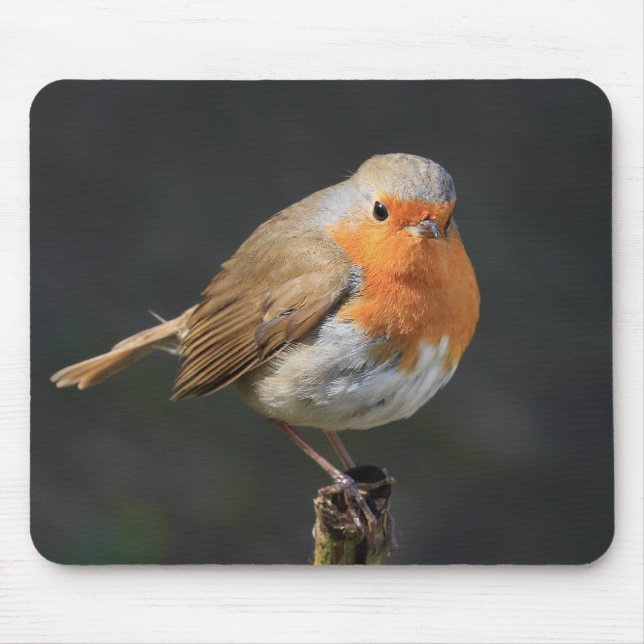 Chirpy Robin Mouse Mat (Front)