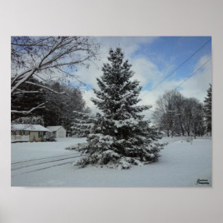 Chistmas Tree uncut Poster