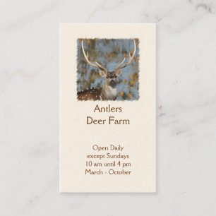 Chital deer farm stag photo business card