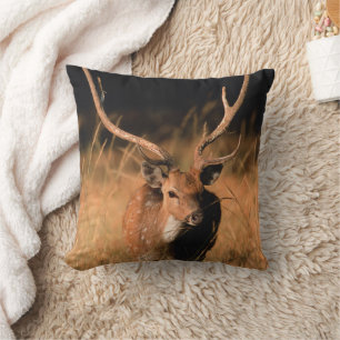 Chital Natural Habitat   Bandhavgar National Park Cushion