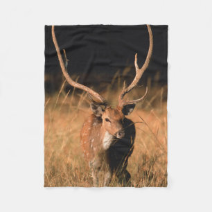 Chital Natural Habitat Bandhavgar National Park Fleece Blanket